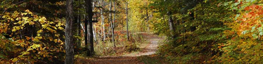 sentier