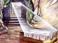 capsule de réflexion