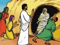 réflexion dominicale