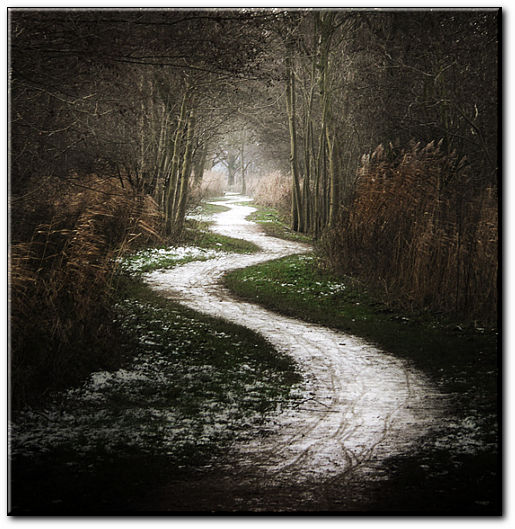 Marthe Robin