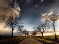 viens en terre nouvelle
