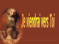 diaporama de la semaine