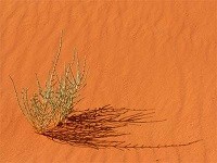 diaporama de la semaine