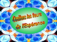 diaporama de la semaine